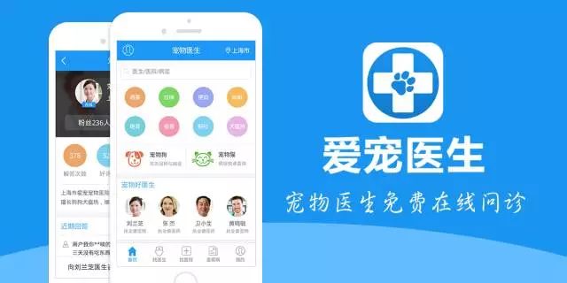 12306新推宠物托运服务，爱宠同行旅途无忧！